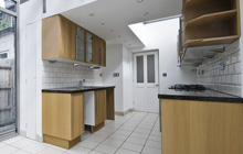 Holmley Common kitchen extension leads